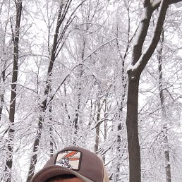 , 26, 