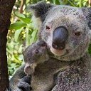  ,  , 64  -  10  2025    