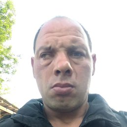 ���� ����, �����, 36 ��� - ��������� 20 ���� 2025