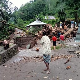 Roi, �����������, 31 ���