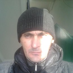 �����, 43 ����, ���������