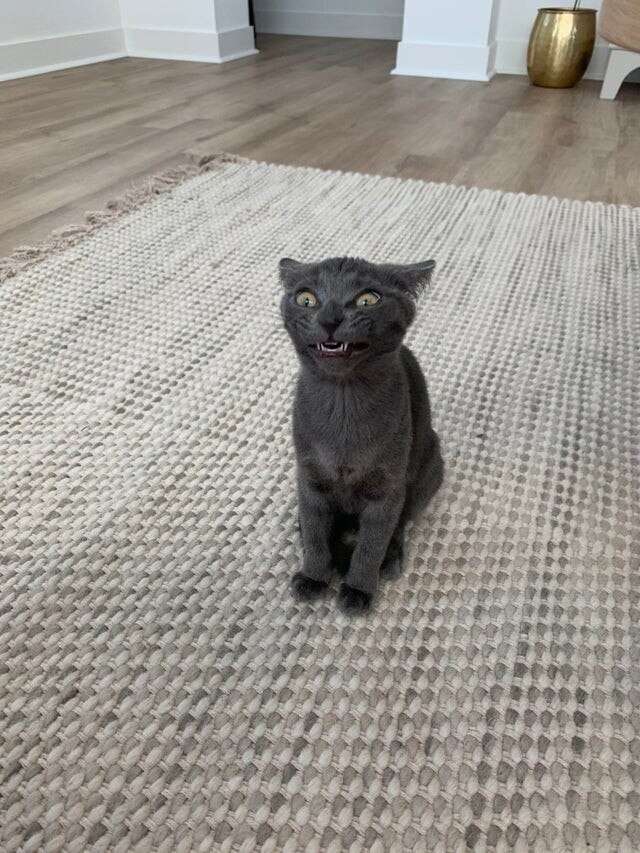      ,   )))