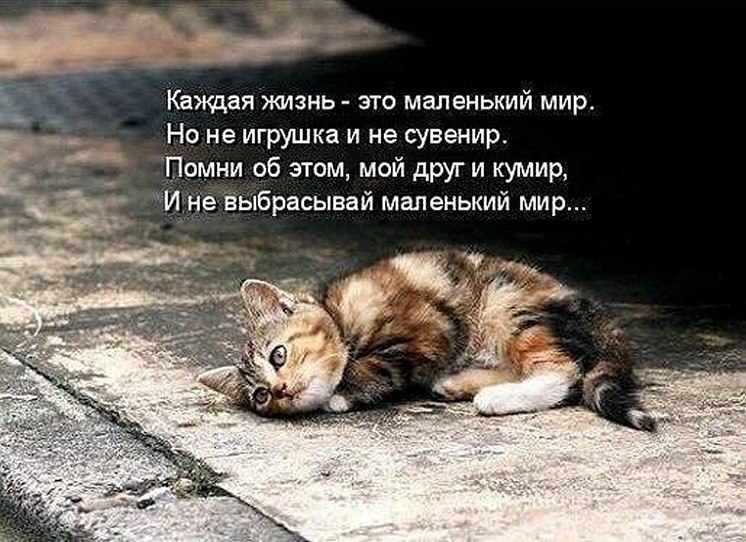 ? ,  ! - 3  2025  22:25