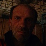  , 48 , 