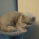 ���� ������, ������, 54 ���� - ��������� 23 ������ 2025 � ������ ������ ��������