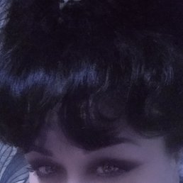 ���� ����, �������, 48 ��� - ��������� 20 ������ 2024