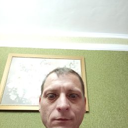 , 41, 