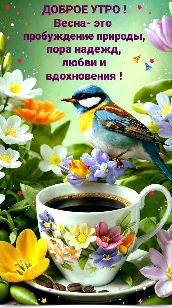 ~~~~~~~~~~