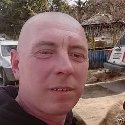 ������� ������, ����, 46 ���