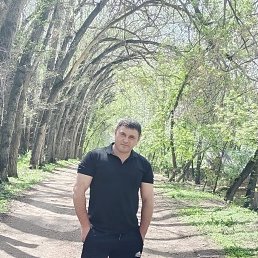 , 41, 