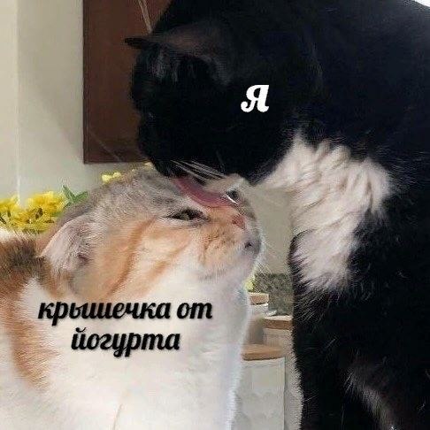    - 12  2024  11:28