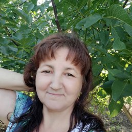 , 50, 