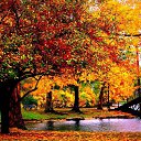  Irisha, - -  3  2023    