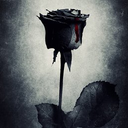 ������, ������, 48 ���