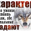 ���� ������, ������, 39 ��� - ��������� 25 ������� 2026 � ������ ���� ����������