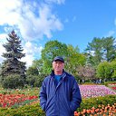 ���� ������, ����, 62 ���� - ��������� 29 ��� 2025 � ������ ���� ����������