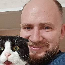 ��������, ����������, 31 ���