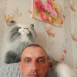 , 42, 