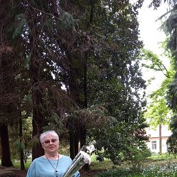 ���� ���, ������, 68 ��� - ��������� 12 ������ 2026