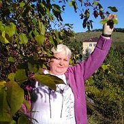 �����, 62 ����, ����������