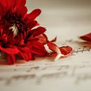 ���� L, ��������� - ��������� 12 ���� 2025 � ������ ������ ��������