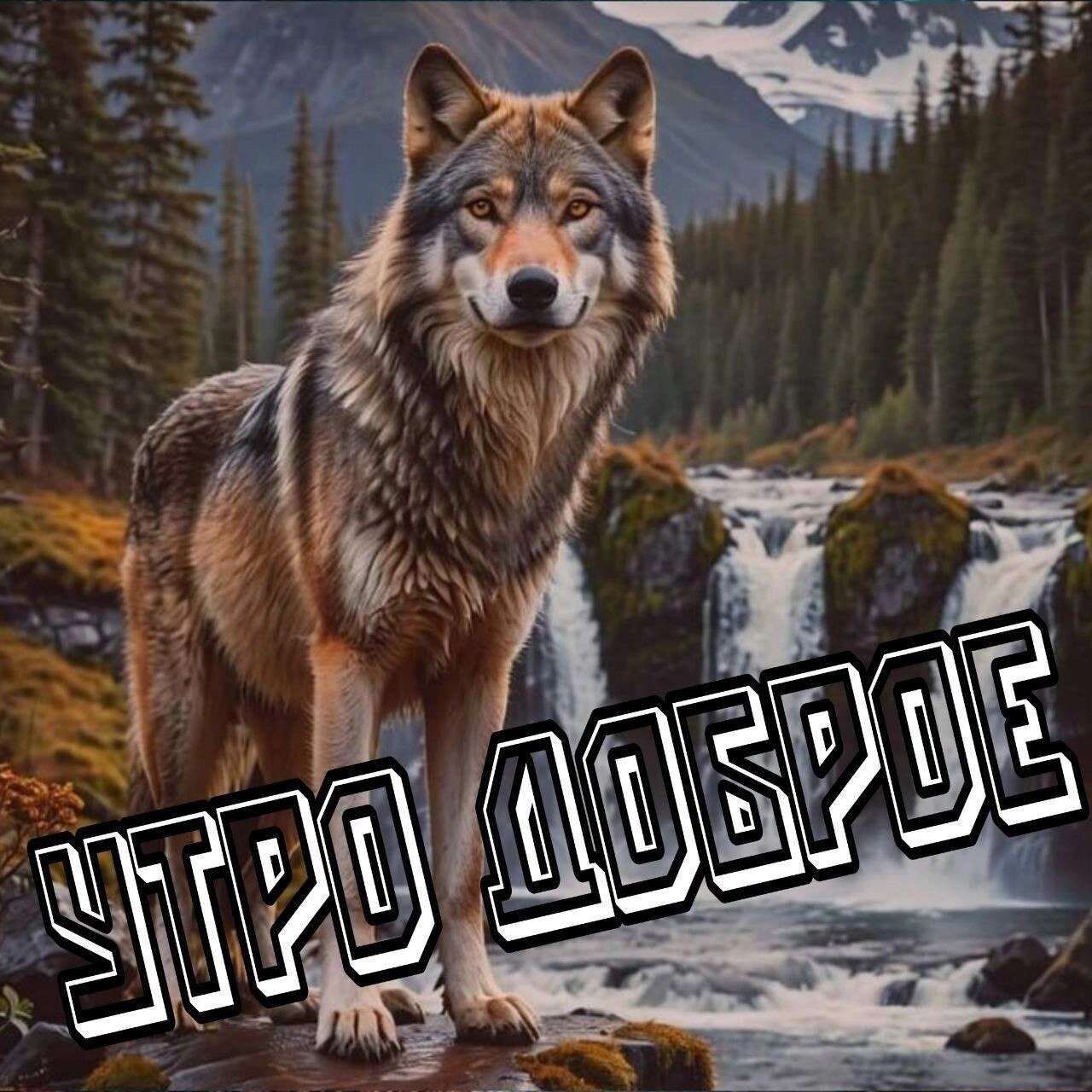  - 16  2025  05:30