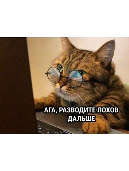 � ����... - 28 ������� 2025 � 11:30 - 2