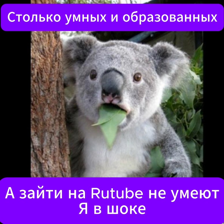 ����� - 29 ������� 2025 � 15:21