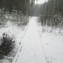 ���� ������, ��������, 38 ��� - ��������� 22 ������ 2023 � ������ ���� ����������