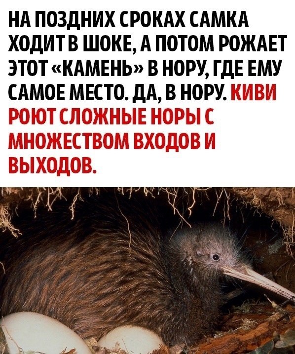     - 2