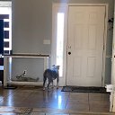���� ������, ����������, 61 ��� - ��������� 13 ������ 2024