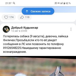 ������� �������, ������������, 39 ���