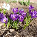 ���� ����, �����, 33 ���� - ��������� 16 ������� 2026 � ������ ���� ����������