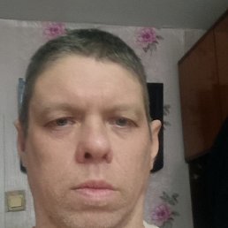 ���� ������, �����, 41 ��� - ��������� 12 ������ 2026