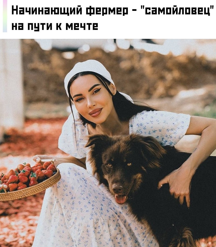         -    ...
