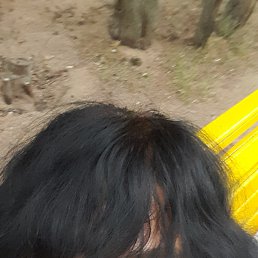 , 44, 