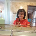 ���� Svetik, �������, 68 ��� - ��������� 2 ������ 2024 � ������ ���� ����������