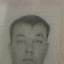 , 41 , 