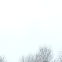 ���� ������, ������� - ��������� 17 ������ 2026 � ������ ���� ����������