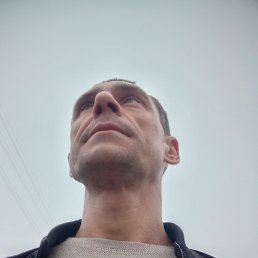 , 42, 