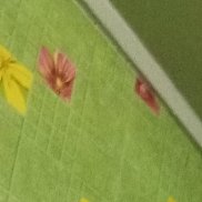 , 34 , 