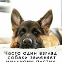 ���� �����, ��������� - ��������� 6 ������ 2025 � ������ ������ ��������
