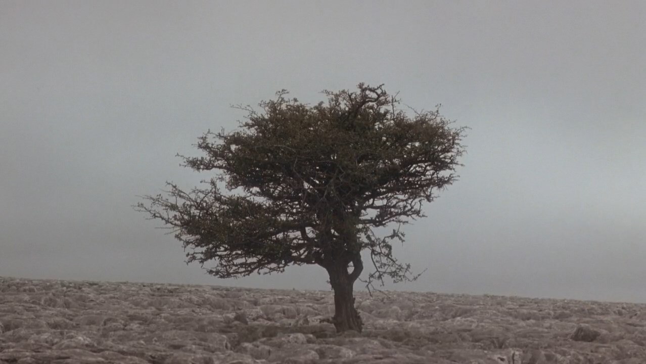   / Wuthering Heights, 1992.dir. Peter Kosminskycin. Mike Southon - 2