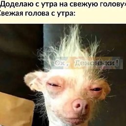���� Shmalex124, �������, 39 ��� - ��������� 22 ������ 2026