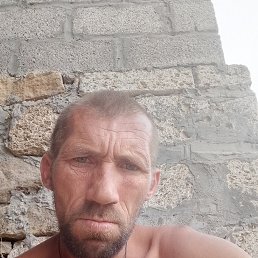 , 37, 