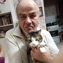 Александр, 61 год, Москва Александр, 61 год, Москва