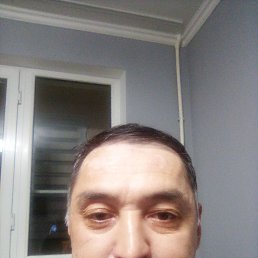 , 50, 