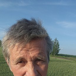 , 65, 