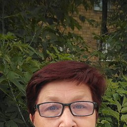 , 65, 