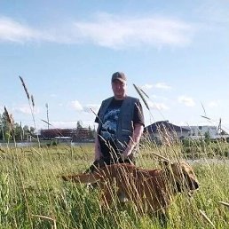 �������, 38 ���, ����